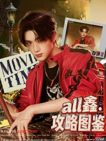 all鑫：攻略图鉴