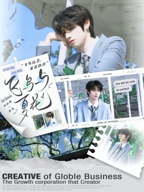 TF三代：飞鸟与夏花